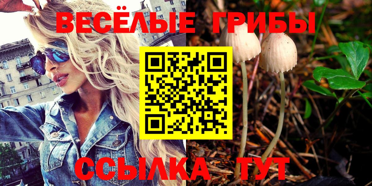Галлюциногенные грибы Cubensis  Псилоцибиновые грибы Psilocybe  Вход с VPN  Богородицк 